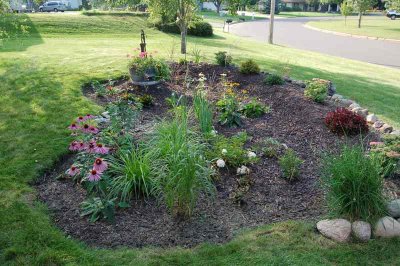 A garden with green plants and pink flowers
