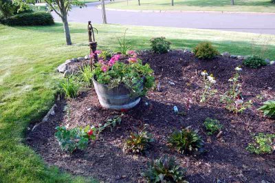 A garden with a barrel with plants in it